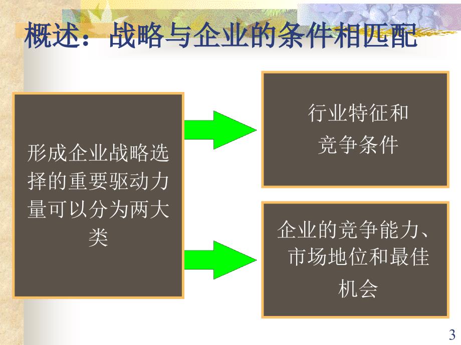 b9战略选择(本科-9)电脑基础知识it计算机专业资料_第3页