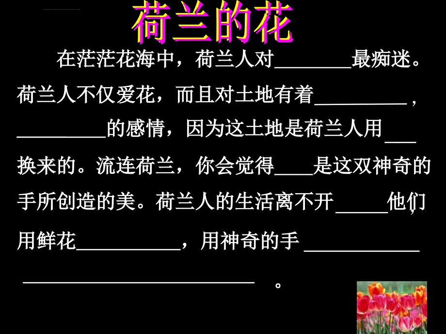 沪教版五年级下册《荷兰的花》3最新_第3页