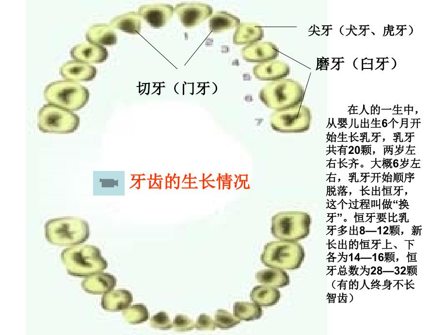 2014-2015年美术九年级上册第二单元情与意的交融（造型与表现）岭南版黄照沙溪乐群小学_第4页