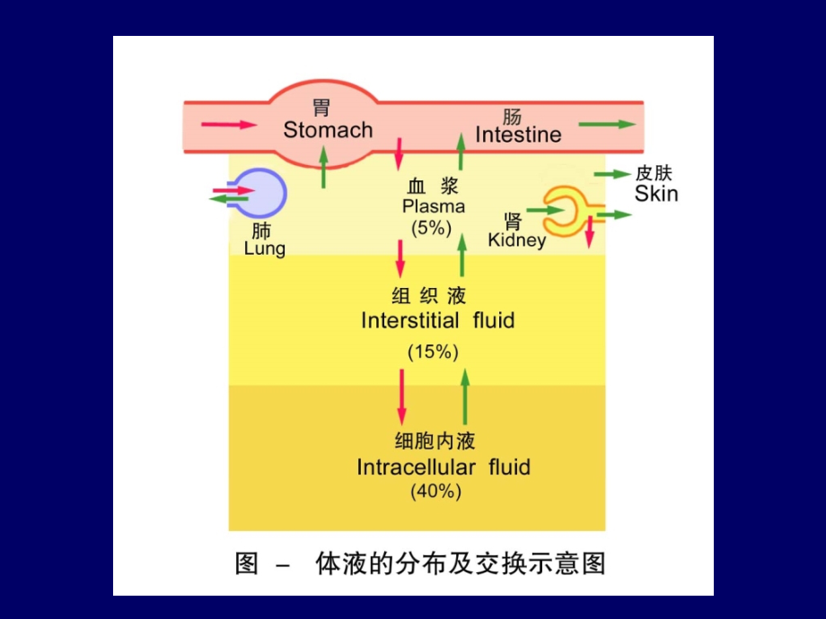 2011药本血液_第4页