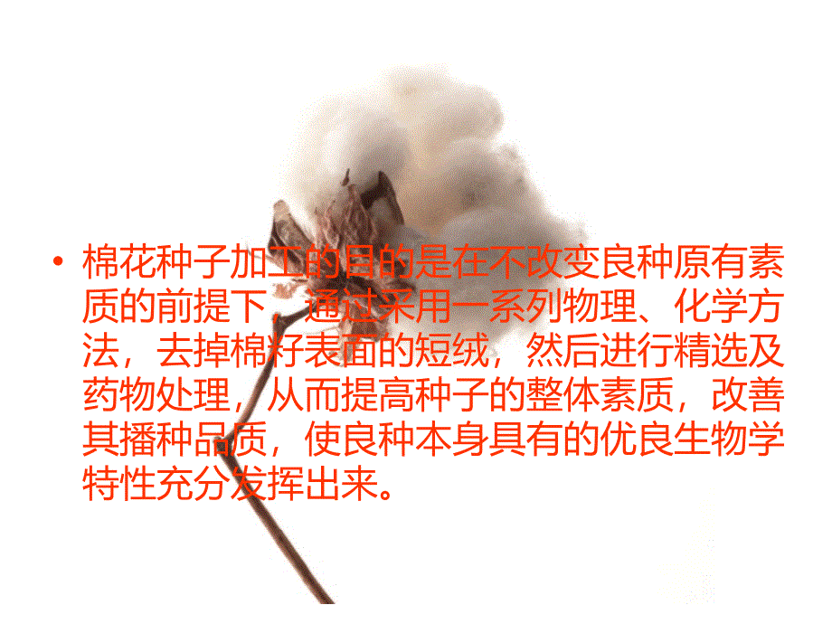 棉花种子加工方法_第3页