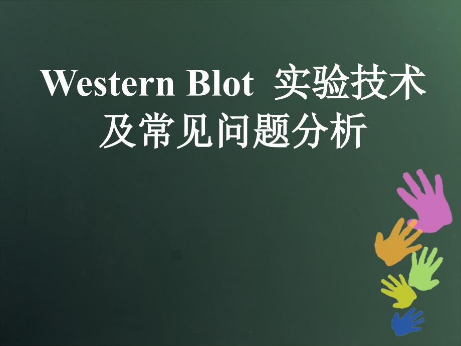 westernblot实验技术._第1页