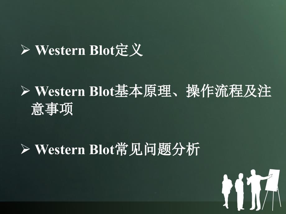 westernblot实验技术._第2页