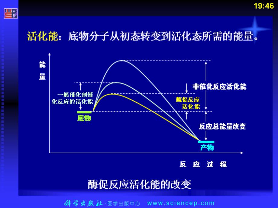 生物化学第5章_酶_第4页