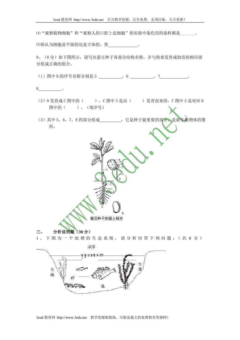 七年级生物上册期末模拟卷_第4页