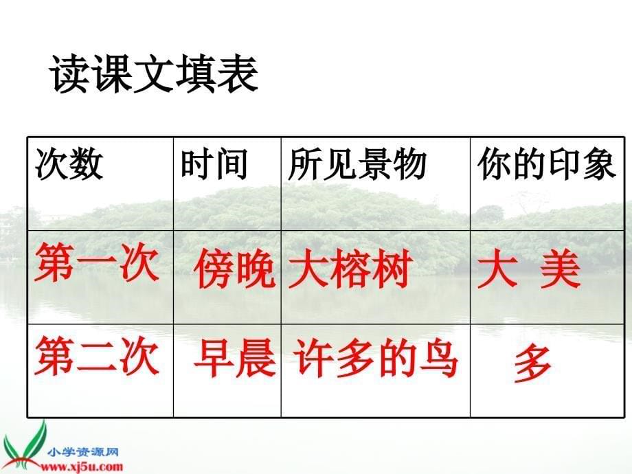 浙教版六年级语文下册《鸟的天堂1》ppt课件_第5页