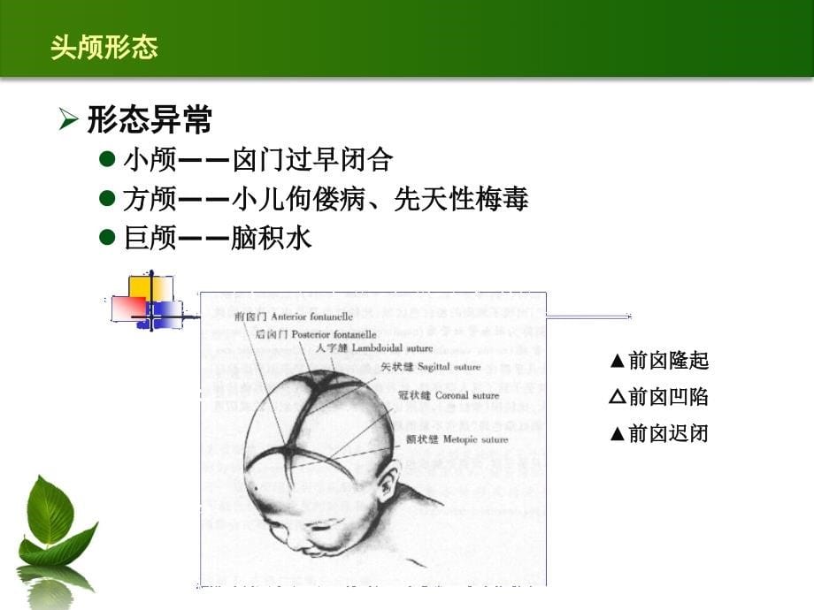 头部检查与颈部检查_图文_第5页