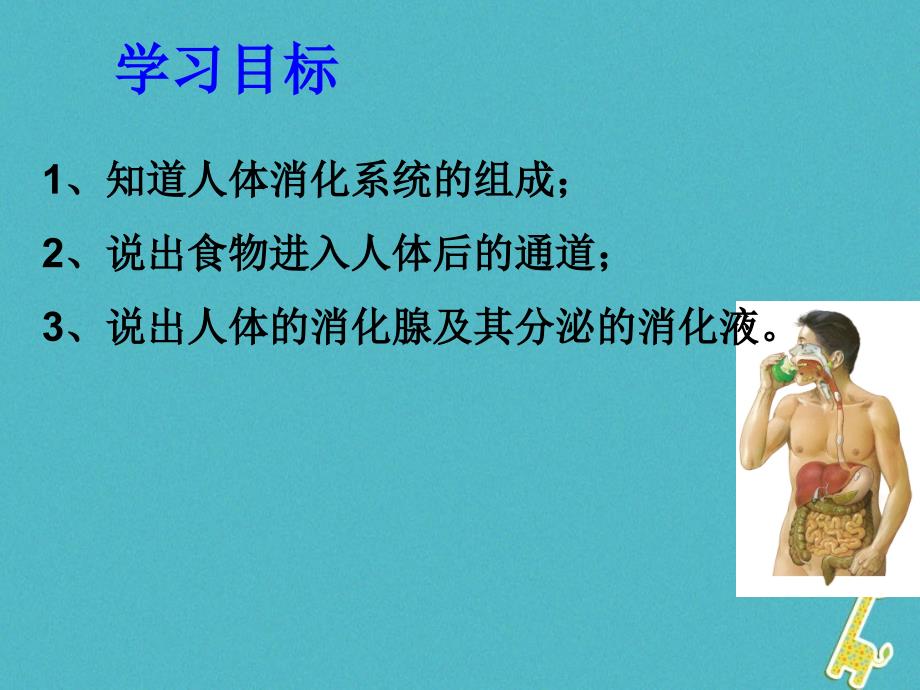 山东省惠民县七年级生物下册3.1.3消化系统的组成课件（新版）济南版_第2页