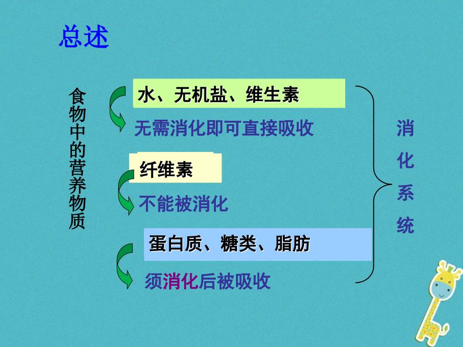 山东省惠民县七年级生物下册3.1.3消化系统的组成课件（新版）济南版_第3页