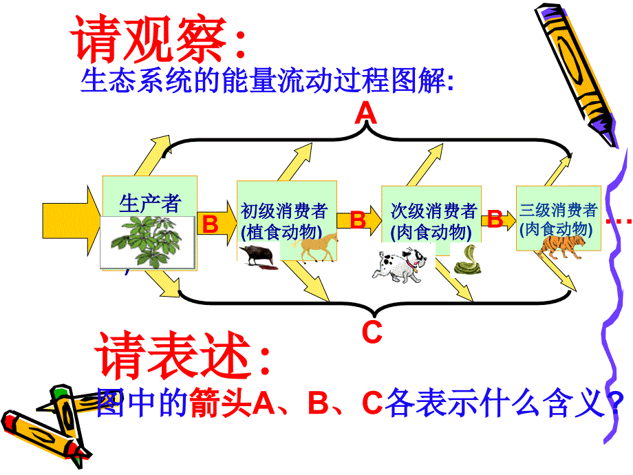 能量流动和物质循环【详解精解】_第4页