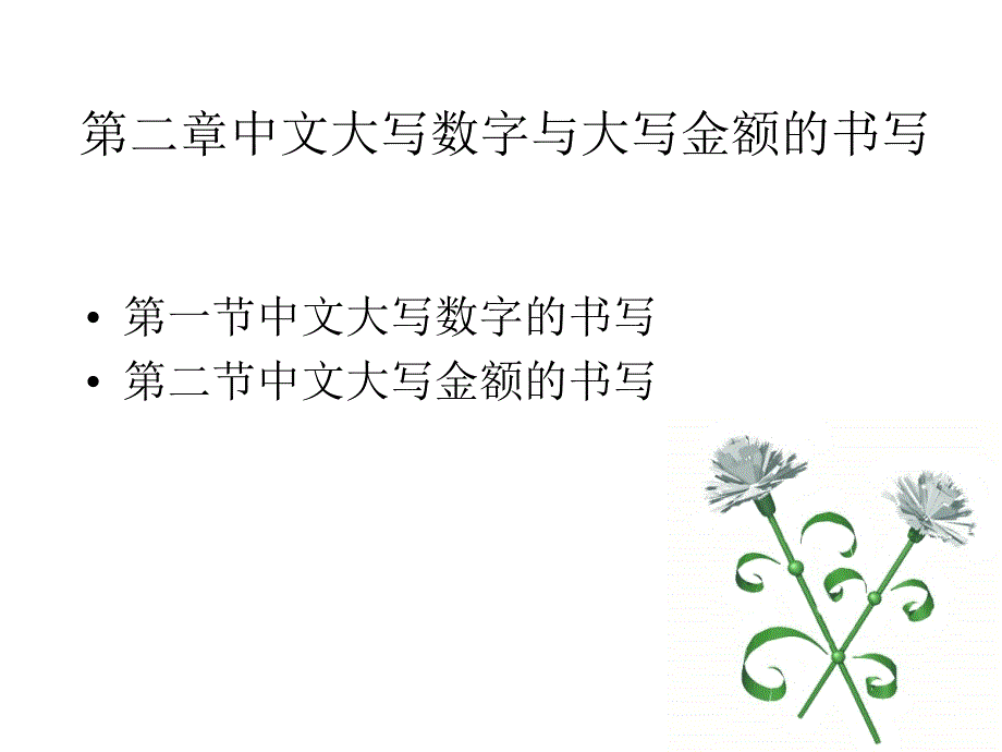 第2章中文大写数字与大写金额的书写_第2页