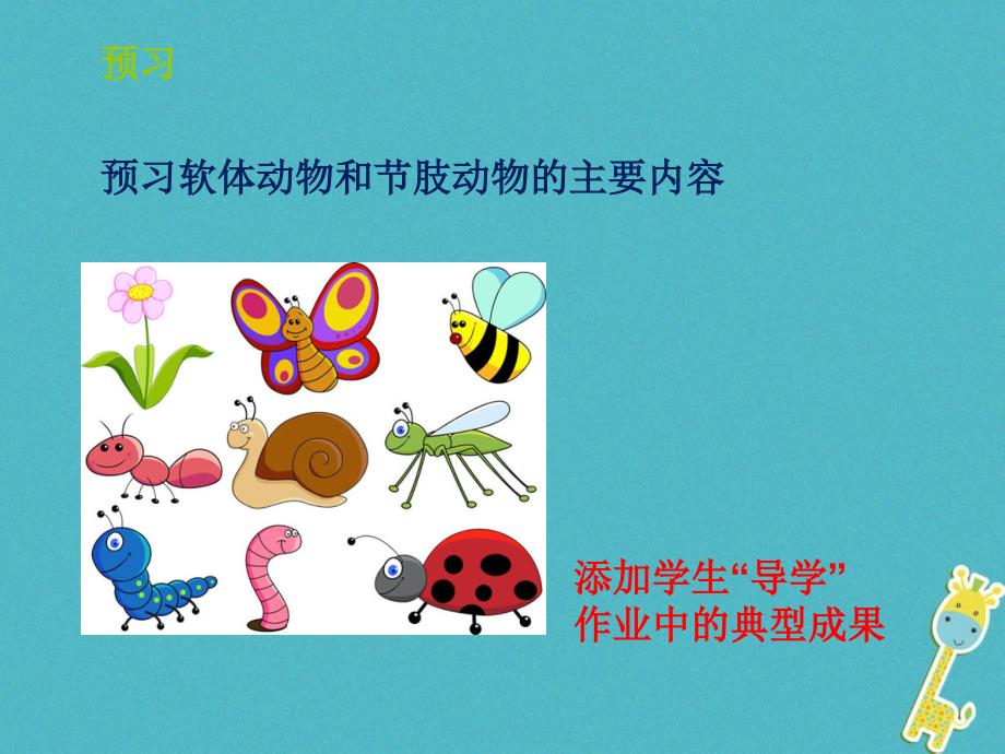 山东省惠民县七年级生物上册2.2.1《无脊椎动物的主要类群》（第3课时）课件（新版）济南版_第2页