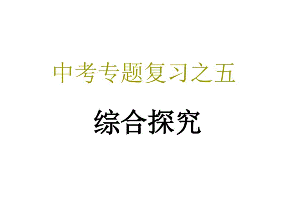 中考语文综合探究专题复习用_第1页