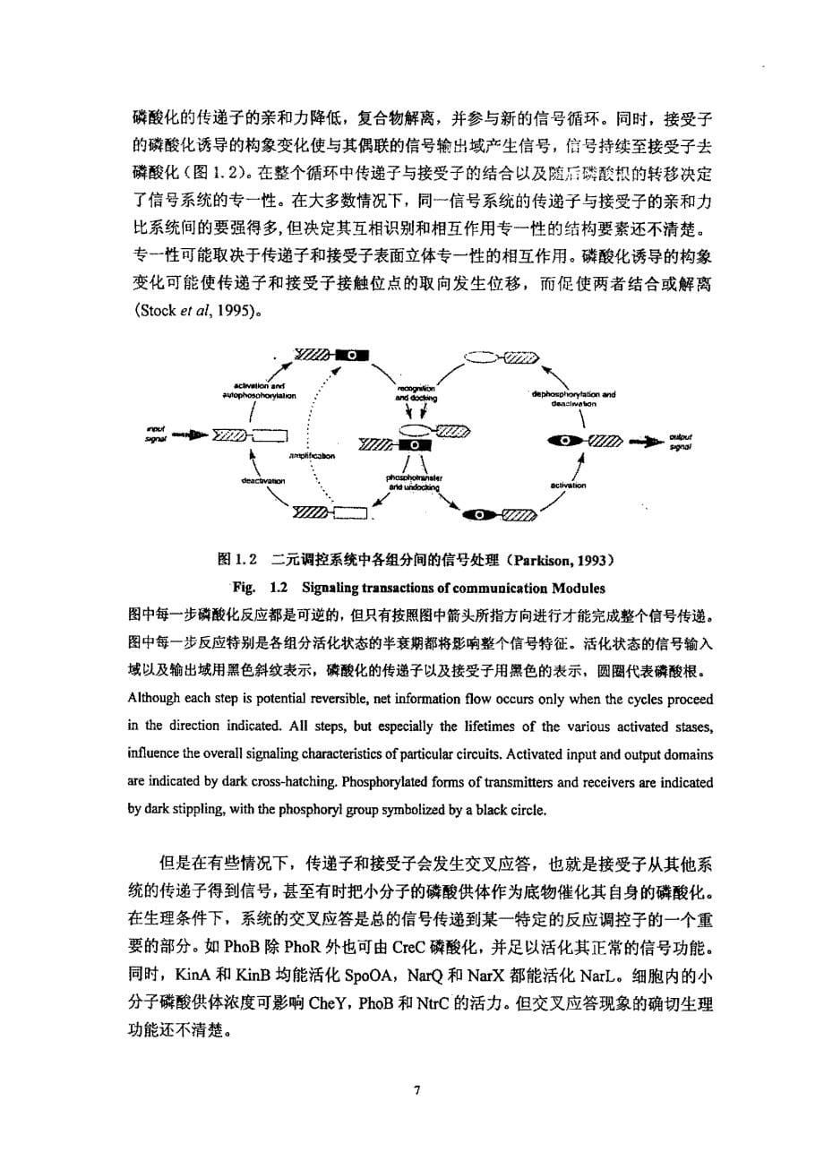 鱼腥蓝细菌pcc7120中及信号转导相关基因的分析及突变体构建_第5页