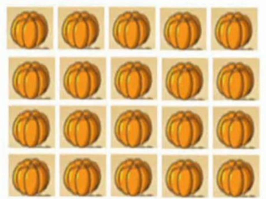 资料二年级上册数学《农家小院》教授教化课件_第4页