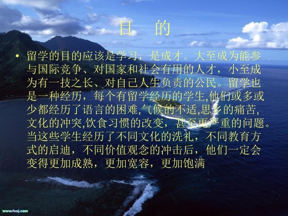 留学研究性学习_第5页