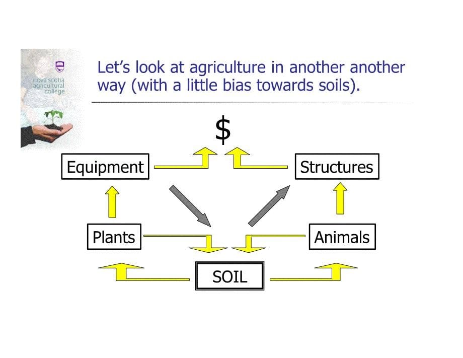 农业生态学agroecology-s2u3.1-soil_around_us_第5页