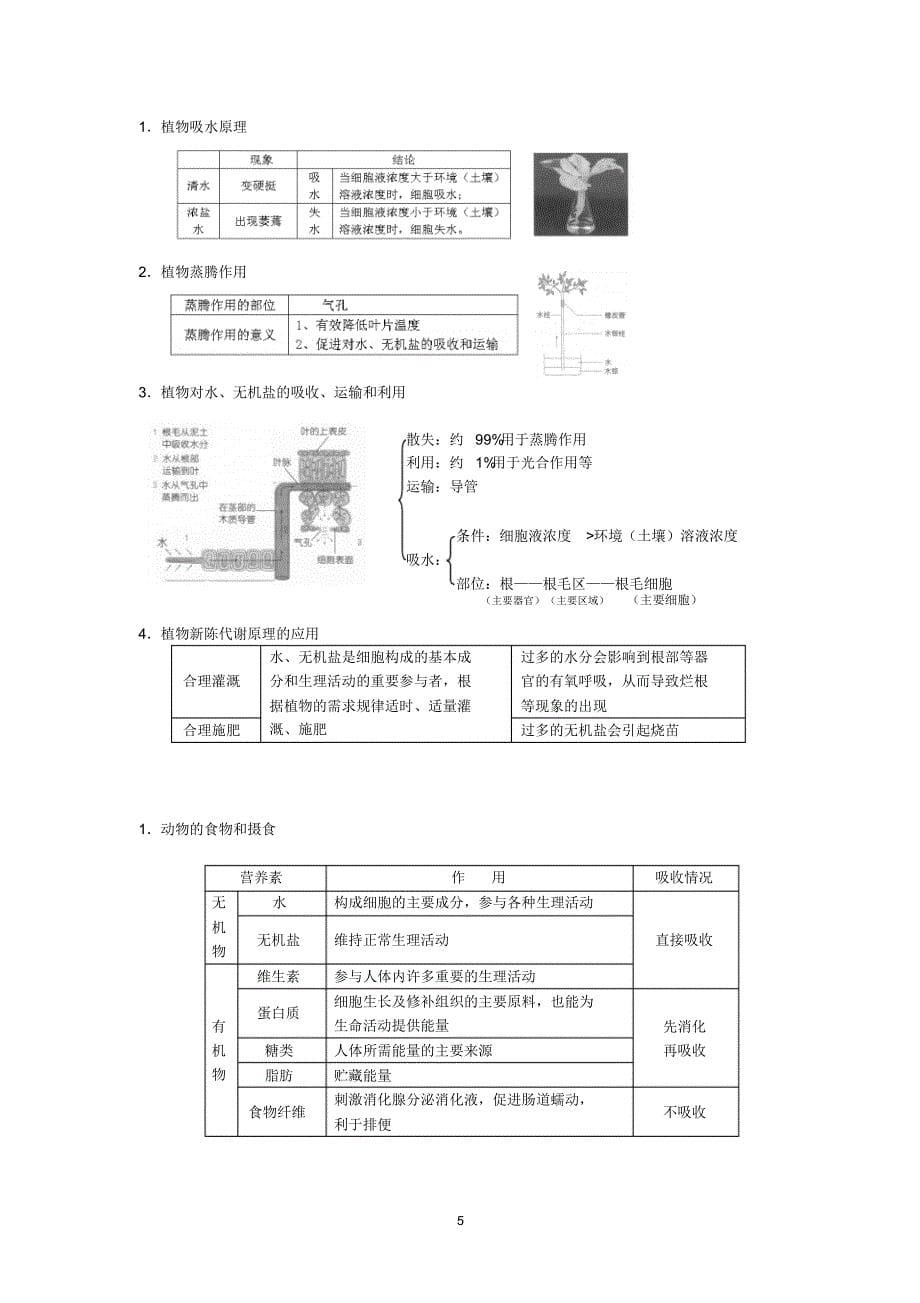 浙教版2016年中考科学生物总复习_第5页