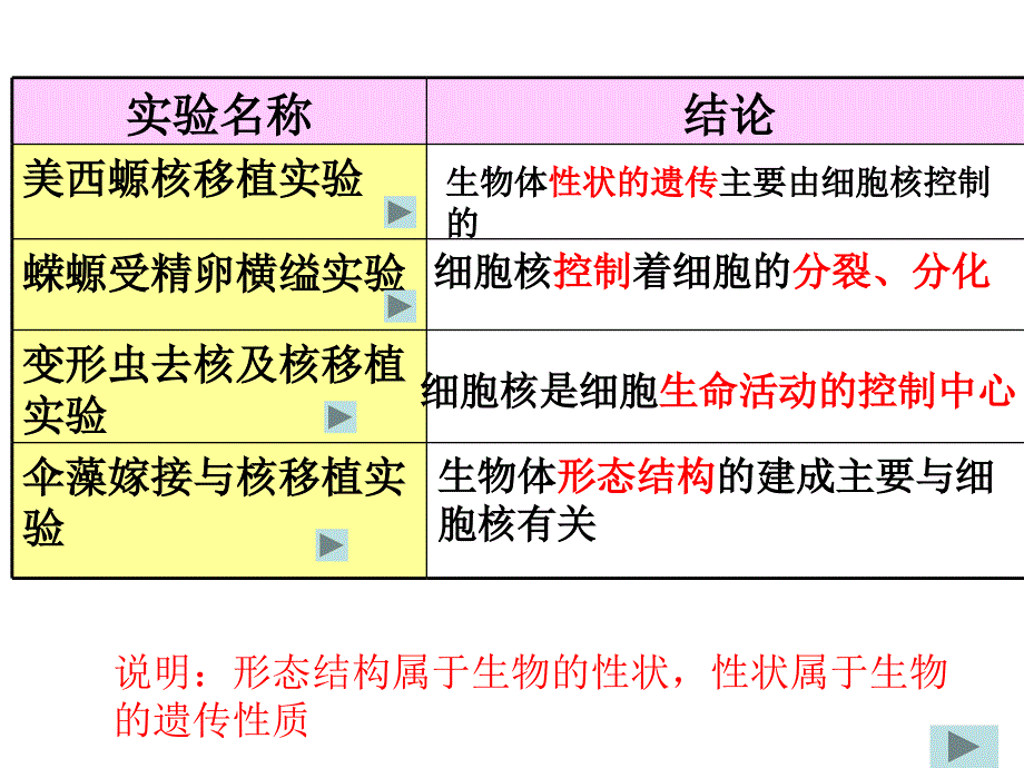 公开课—细胞核_第4页