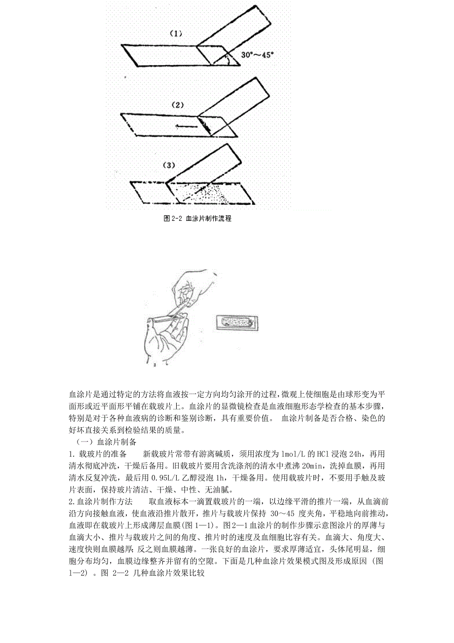 实验一血涂片的制备(1)_第2页