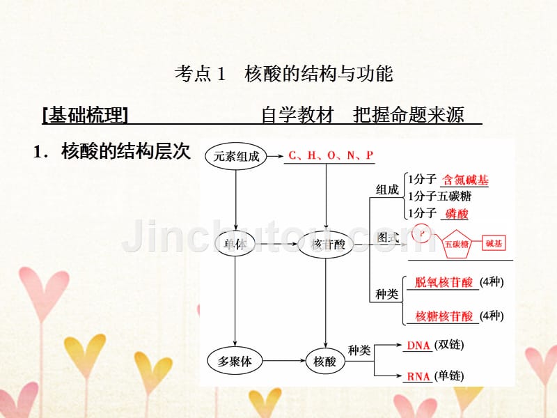 2019版高考生物一轮复习第一部分第一单元细胞及其分子组成第3讲核酸细胞中的糖类和脂质课件新人教版_第3页