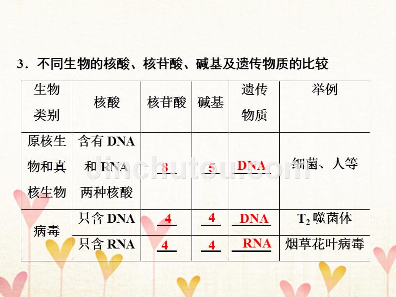 2019版高考生物一轮复习第一部分第一单元细胞及其分子组成第3讲核酸细胞中的糖类和脂质课件新人教版_第5页