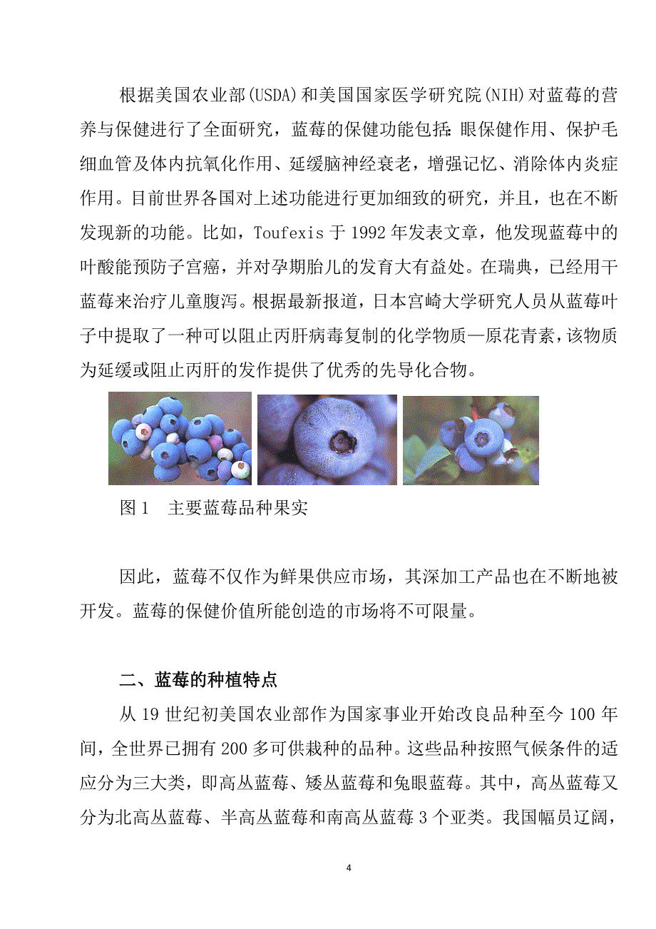 项目报告_蓝莓种植园11_第4页