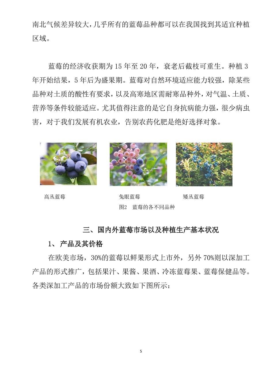 项目报告_蓝莓种植园11_第5页