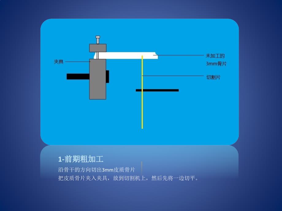 皮质骨精加工展示_第3页