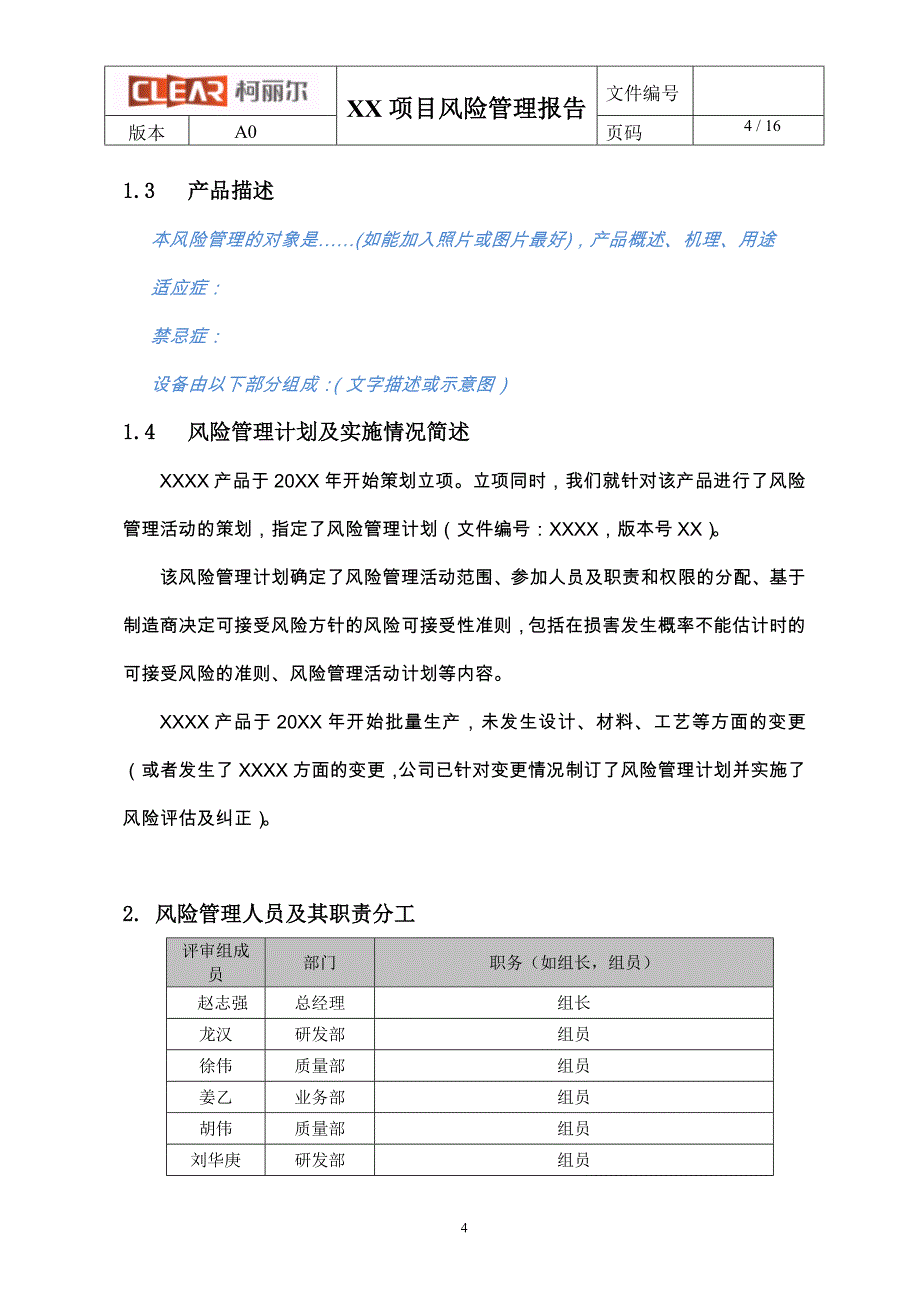 xxx项目风险管理报告(模板)_第4页