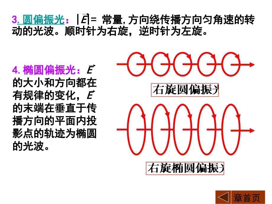 大学物理第23章光的偏振_第5页