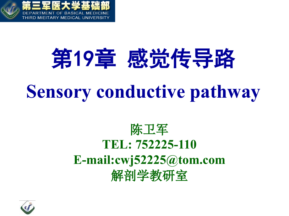 传导路1（神经解剖）_第1页