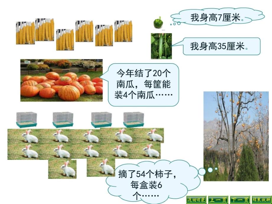 整理版最新北师大版数学二年级上册《农家小院》ppt精品课件_第4页