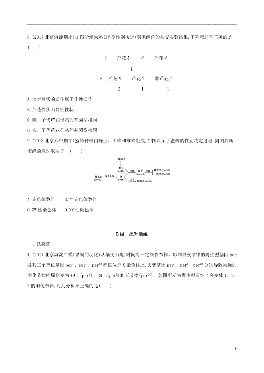 北京专用2019版高考生物一轮复习第5单元遗传的基本规律第16讲基因在染色体上伴性遗传夯基提能作业本_第3页