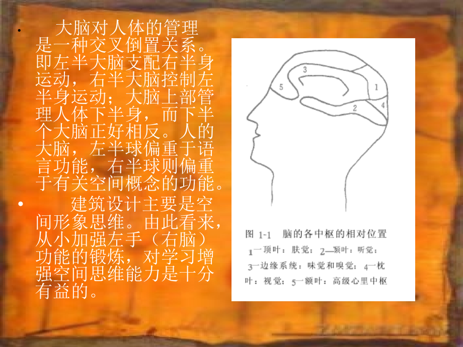 人体工程学与知觉_第4页