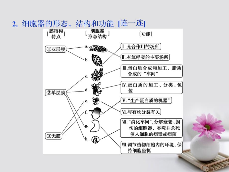 2019届高考生物总复习第二单元细胞的结构和物质运输第6讲细胞器和生物膜系统课件新人教版_第4页