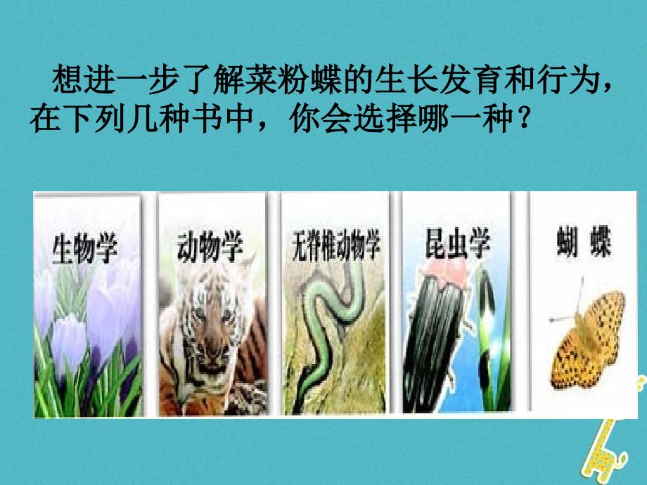 吉林省前郭尔罗斯蒙古族自治县八年级生物上册6.1.1尝试对生物进行分类课件（新版）新人教版_第3页