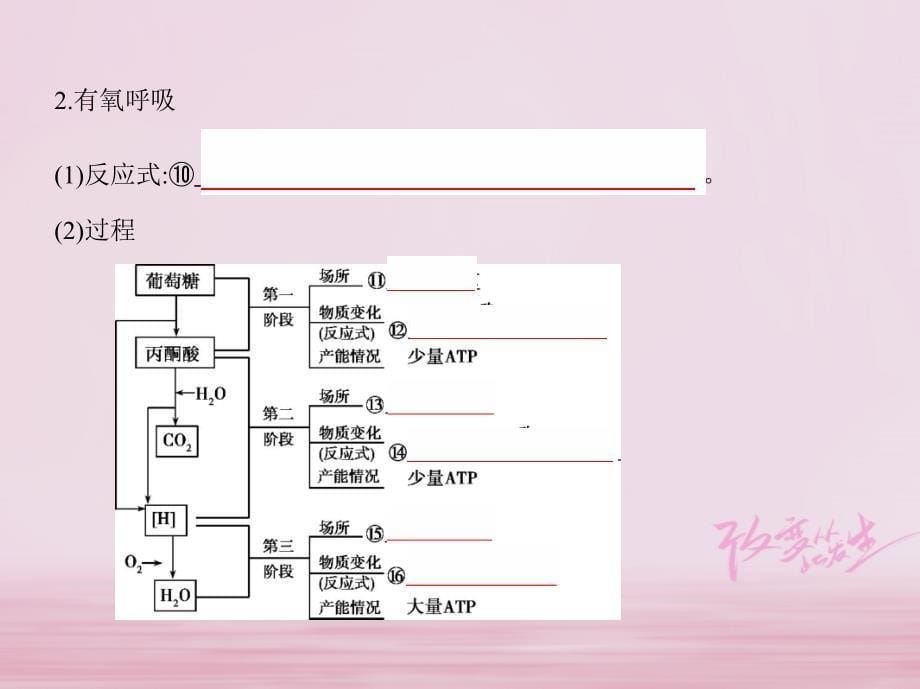 北京专用2019版高考生物一轮复习第2单元细胞的代谢第7讲细胞呼吸课件_第5页