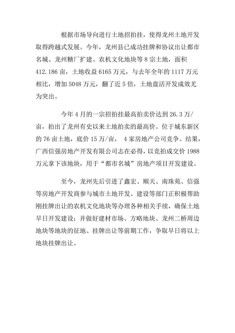 广西龙州新区开发_第5页