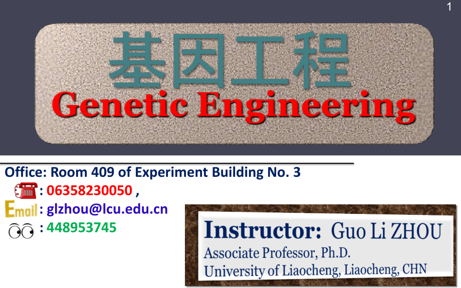 基因工程02基因工程的工具酶_第1页