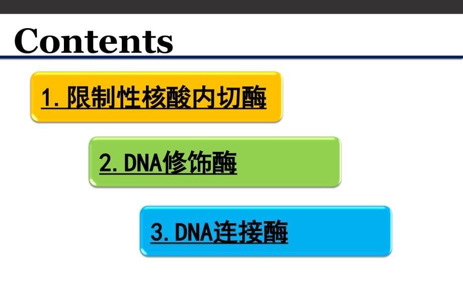 基因工程02基因工程的工具酶_第5页