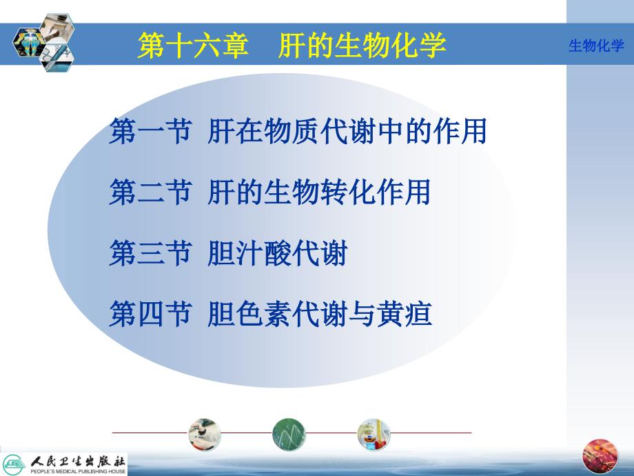 第16章肝的生物化学_第4页