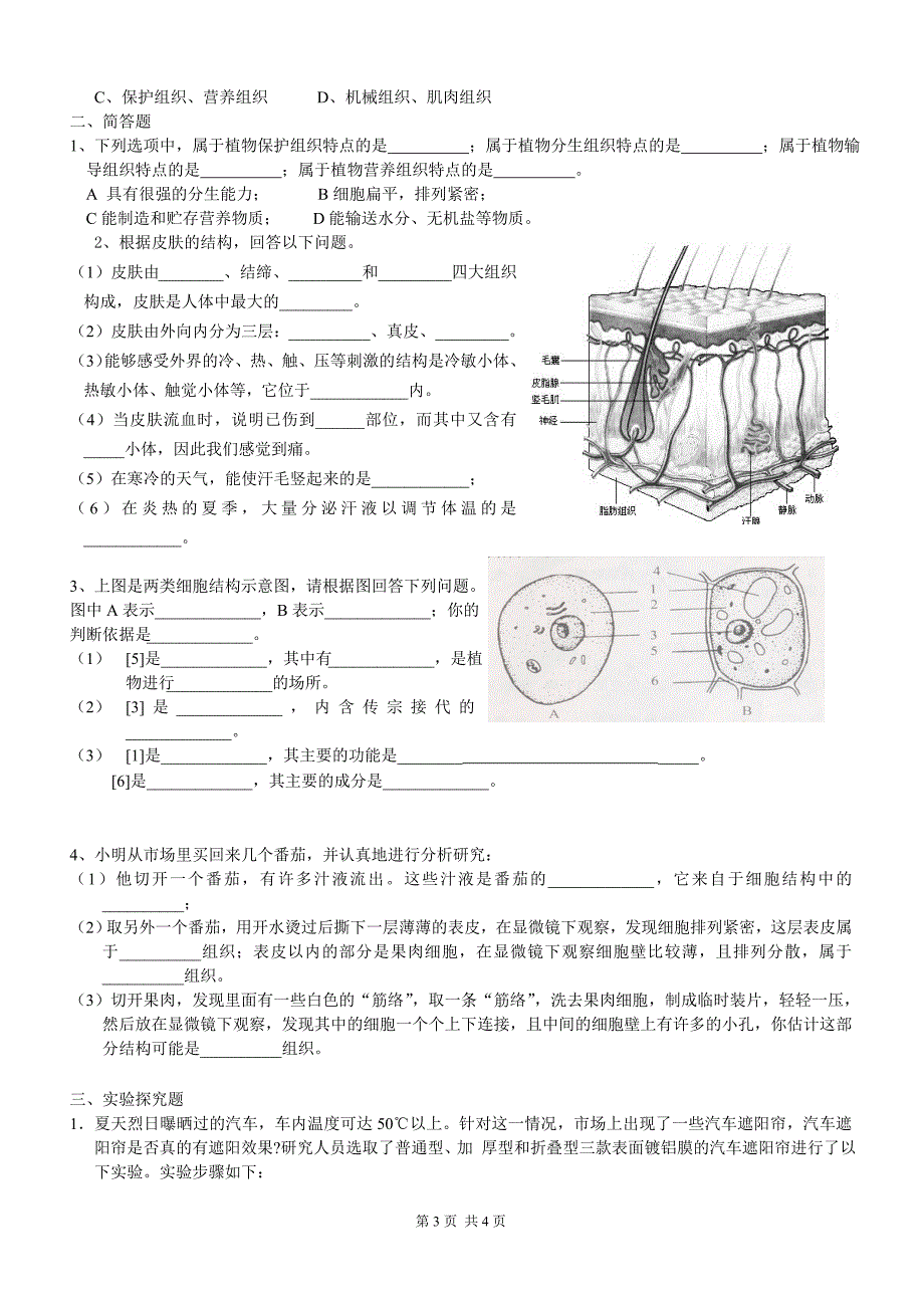 2012年七年级上第二章观察生物检测卷_第3页