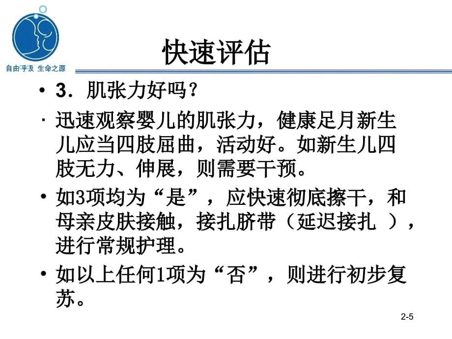 中国新生儿复苏项目标准课件第3课-初步复苏_第5页