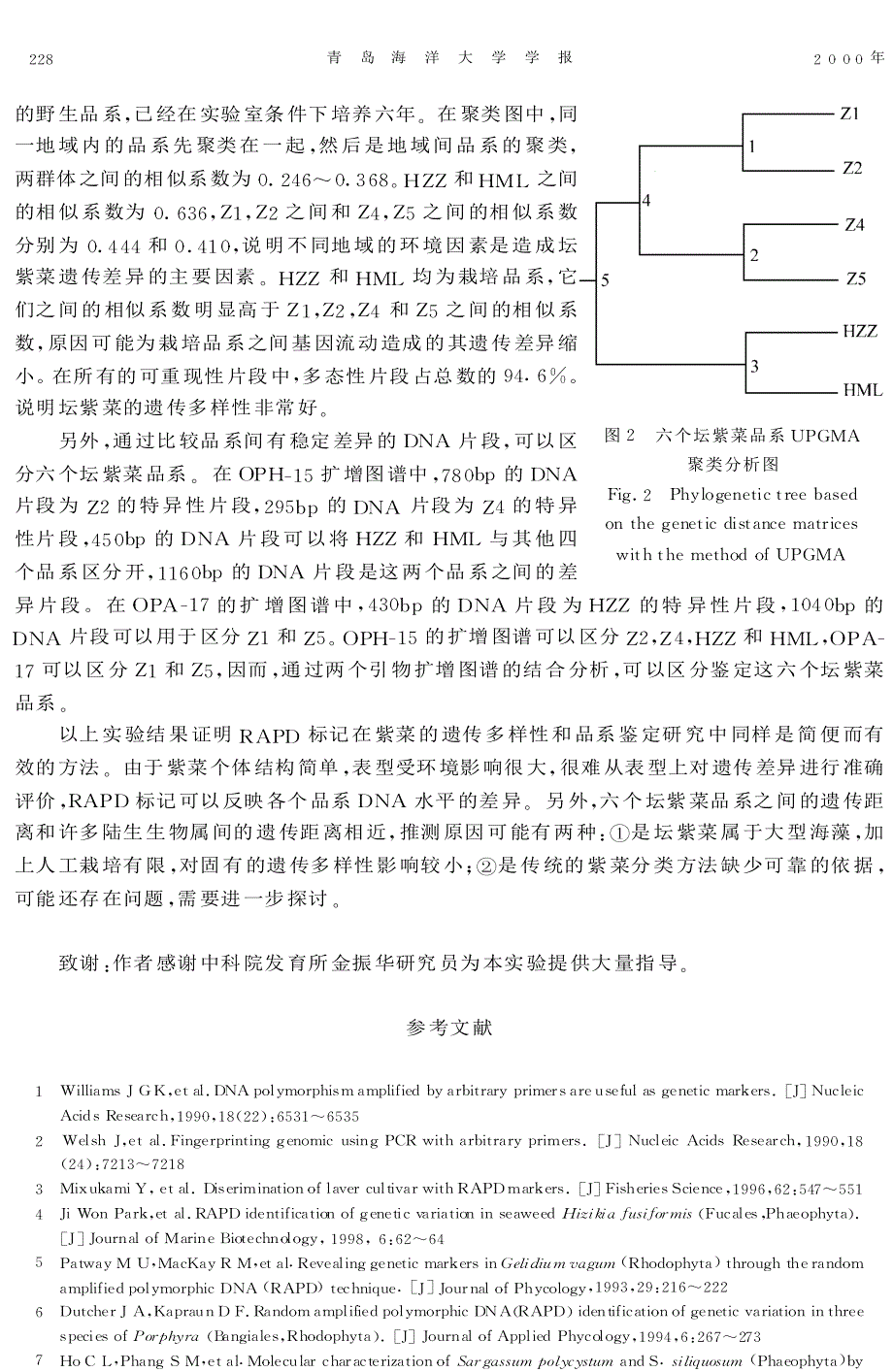 坛紫菜品系间遗传差异的rapd分析_第4页