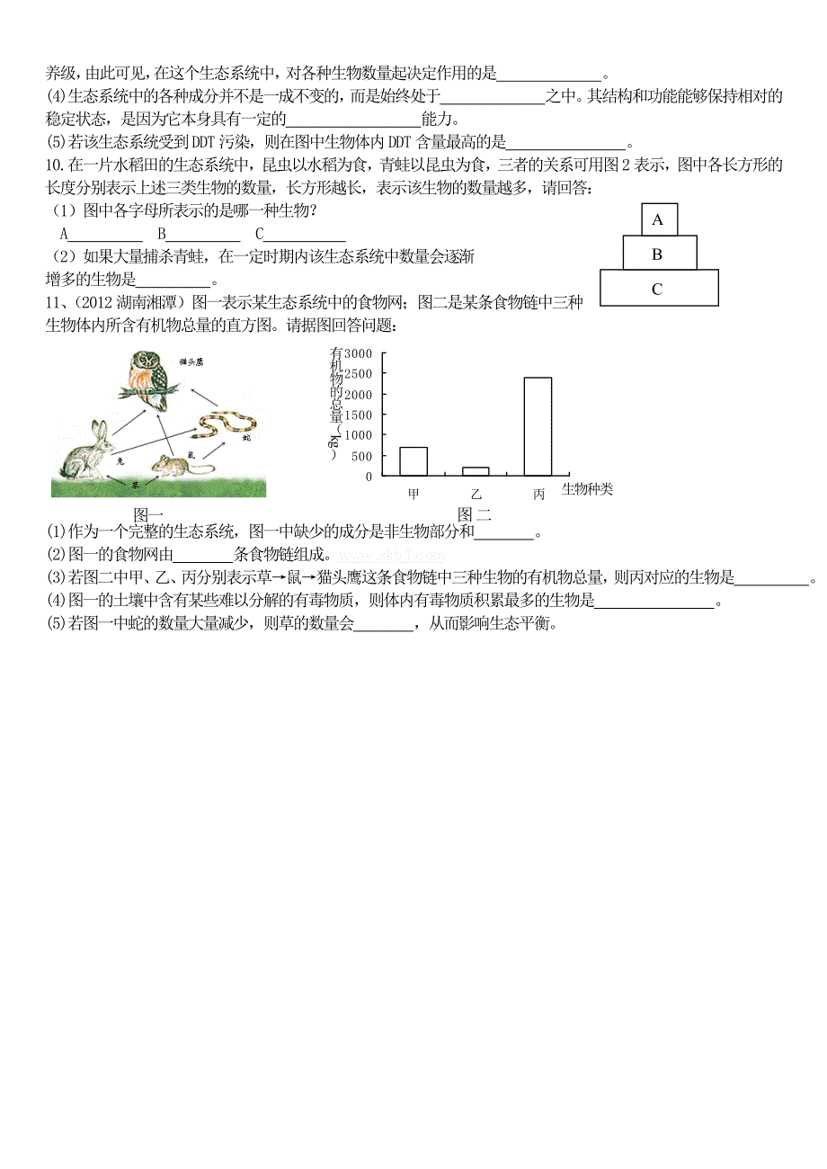 仙市中学初中生物总复习学案七上_第4页