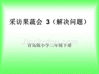 采访果蔬会3(解决问题)