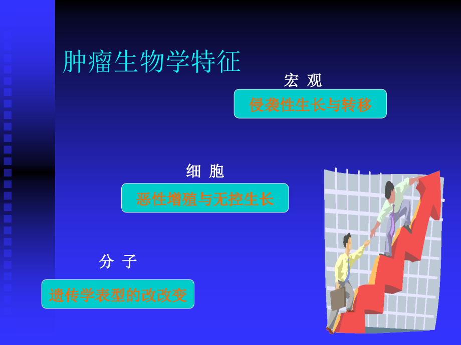 恶性肿瘤的分子靶向治疗——问题与展望_第4页