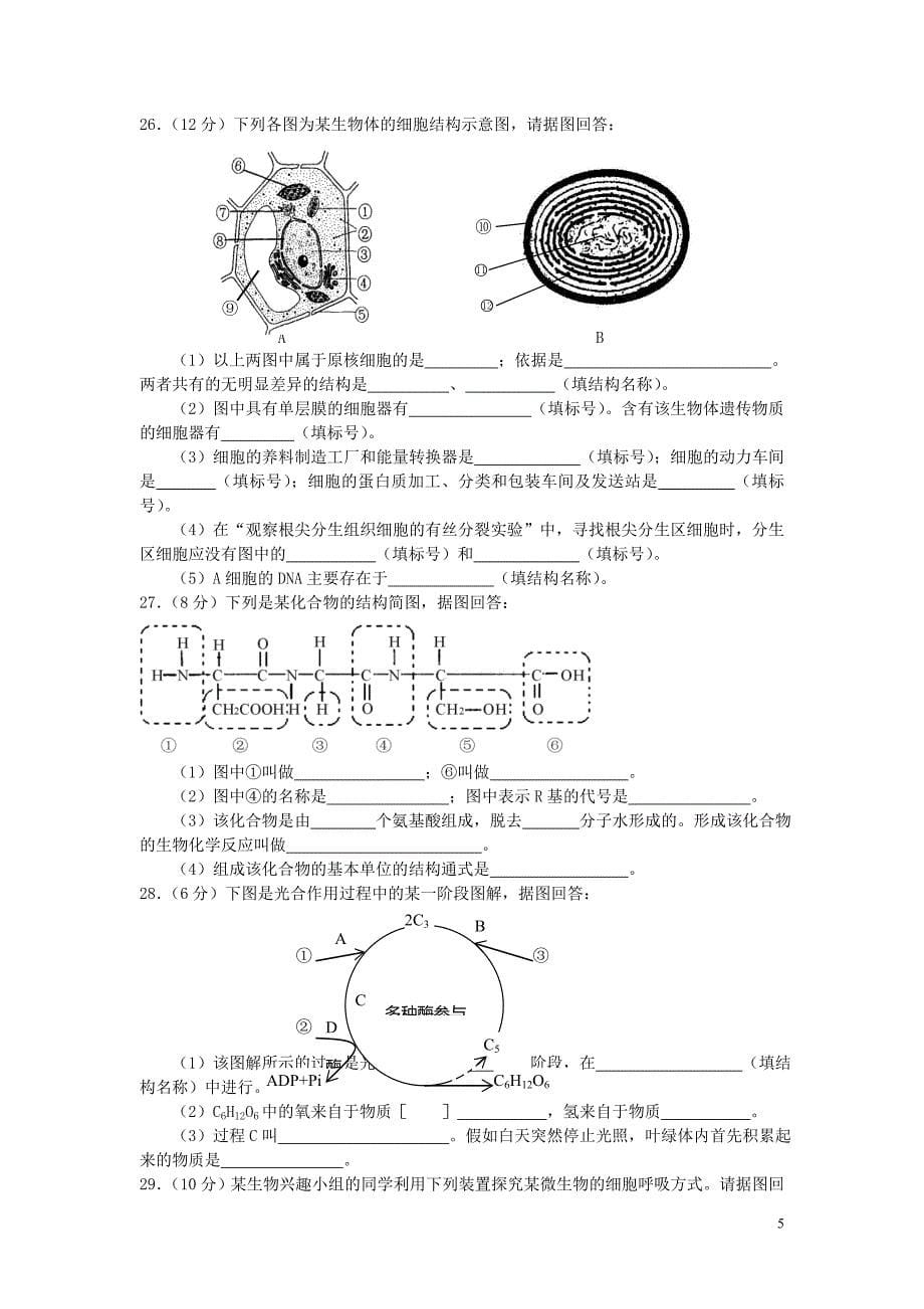 下期期末质量检测模拟试卷高一生物_第5页