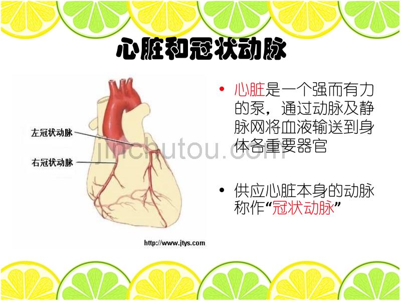 冠心病的运动曾燕敏_第2页